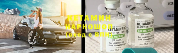 сатива Каменногорск